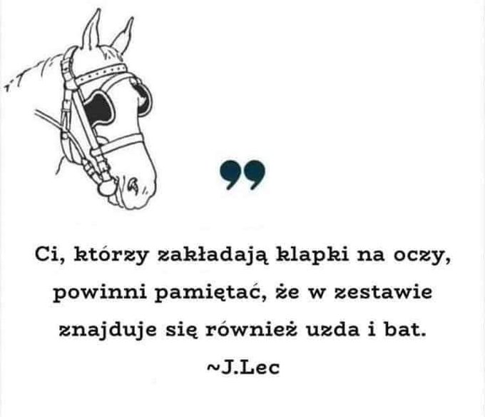 Elesa (@ElesaKociara) / Posts / X