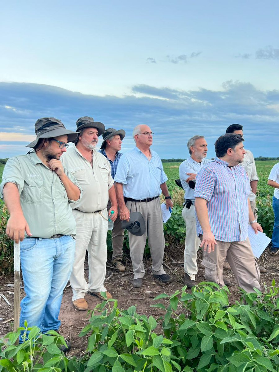 Corteva Argentina tweet media