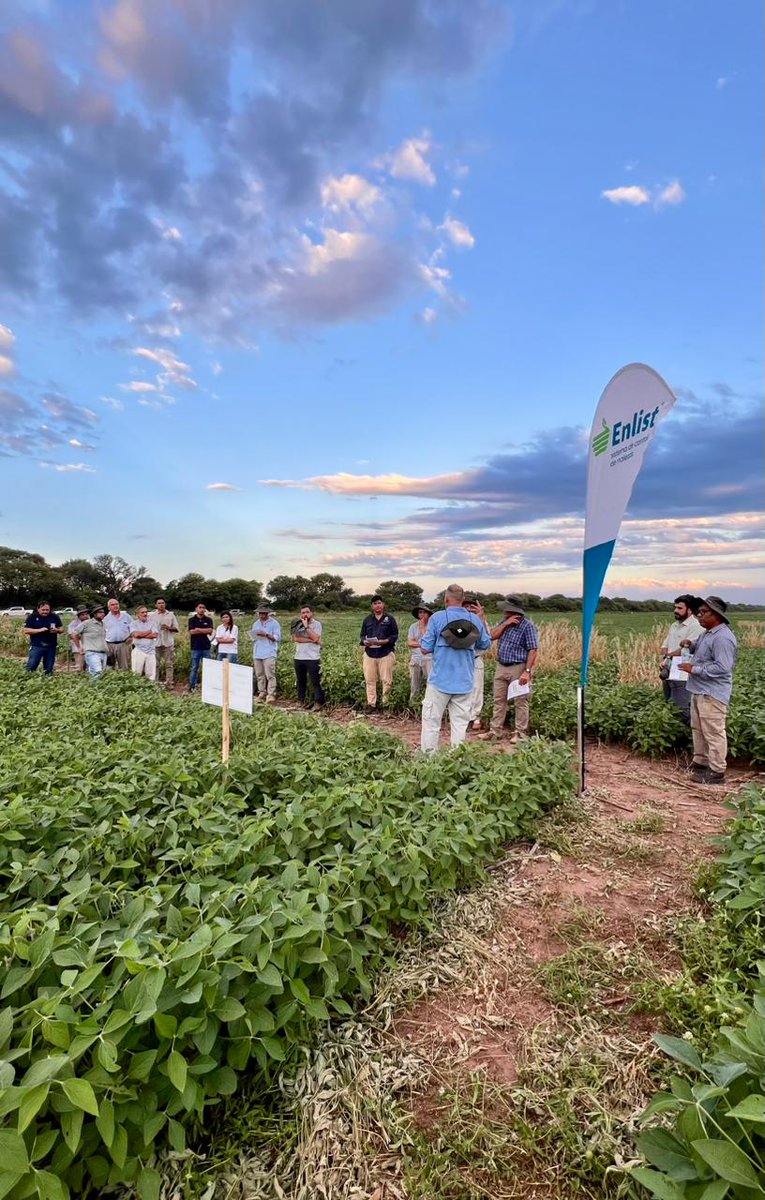 Corteva Argentina tweet media