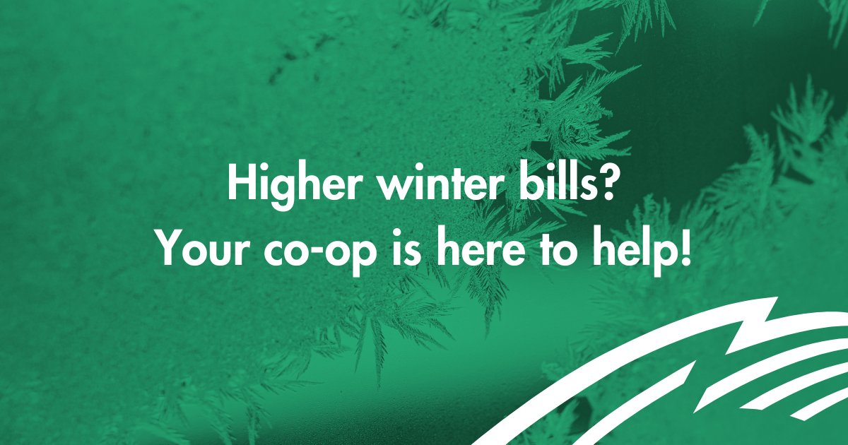 Wake Electric tweet media