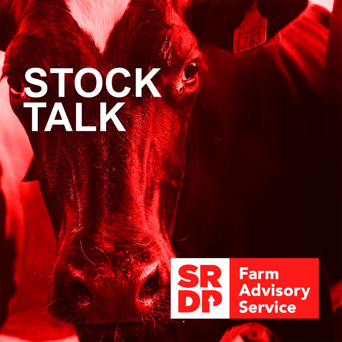 FASScot's tweet photo. Stock Talk is out now and we have a new host! 🎙️

We welcome James Orr, taking over from Kirsten Williams. James shares his career highlights at SAC Consulting, while Kirsten reflects on 20 years of favourite projects.

Tune in here 👇
https://t.co/hkzoeKpXSw https://t.co/O8N0EJZrFf