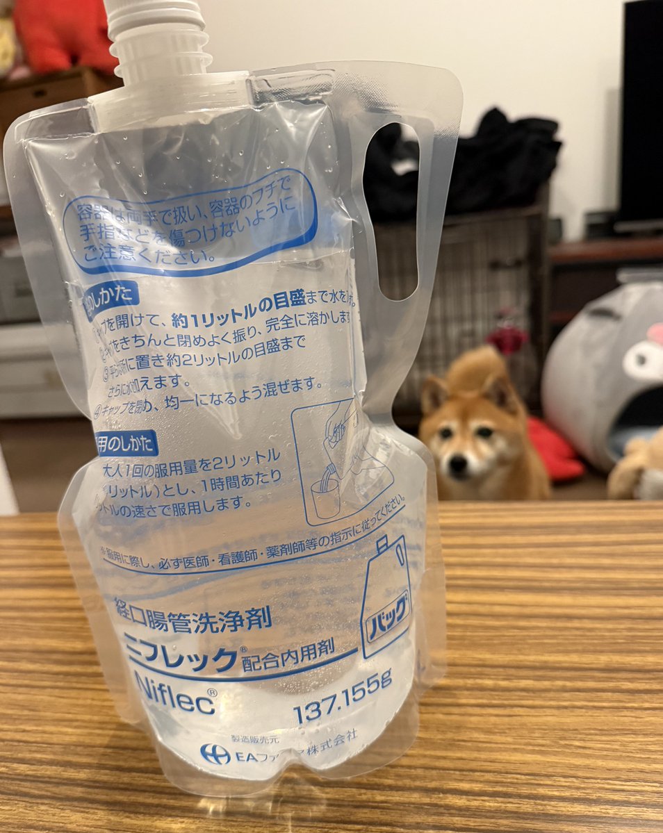 こーへい🌏 (@ko0819hey) / Posts / X