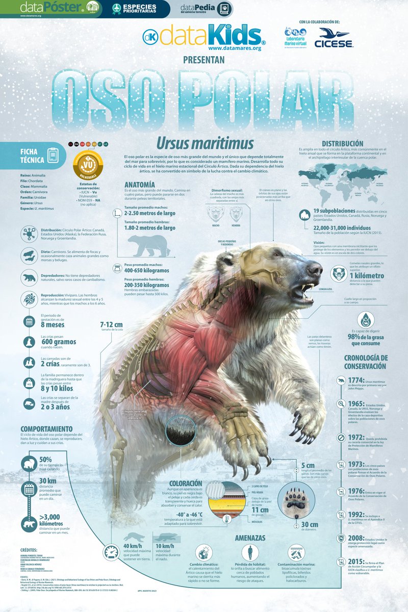 dataMares tweet media