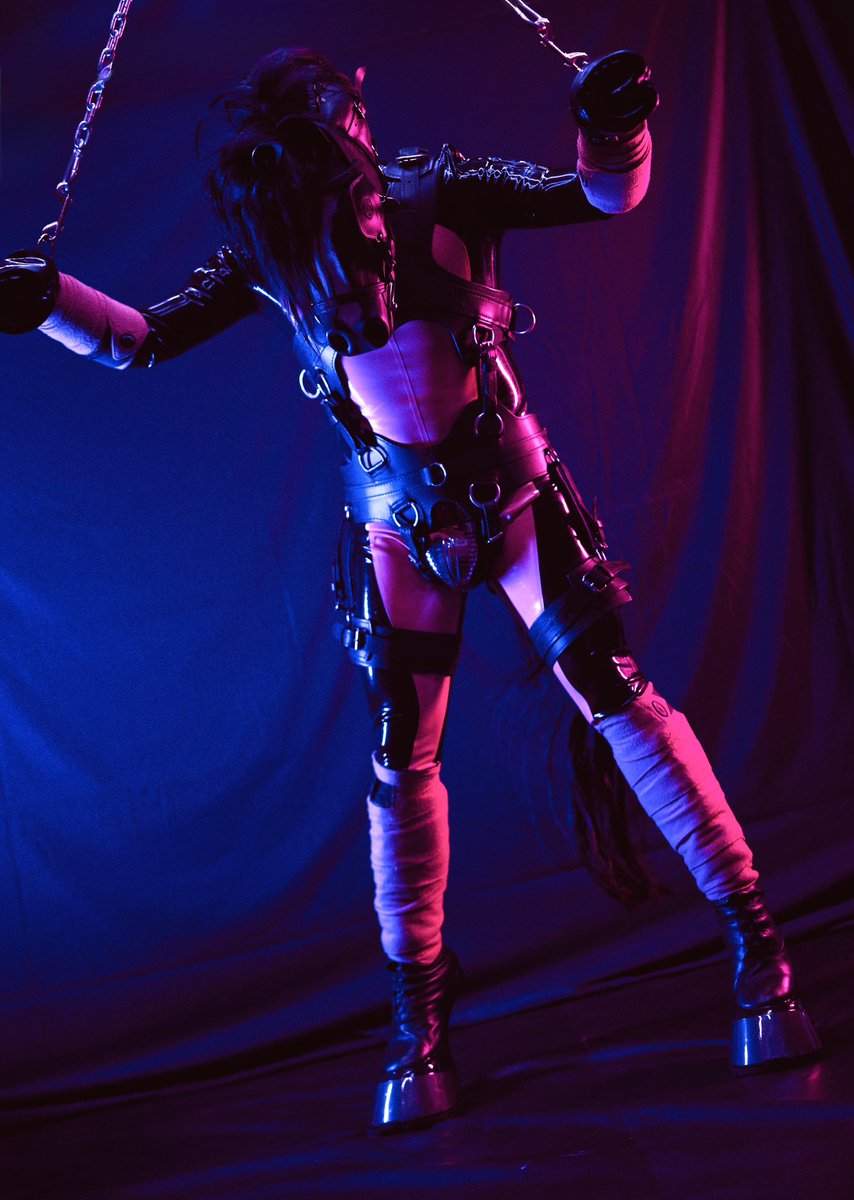 Equus Signum tweet media