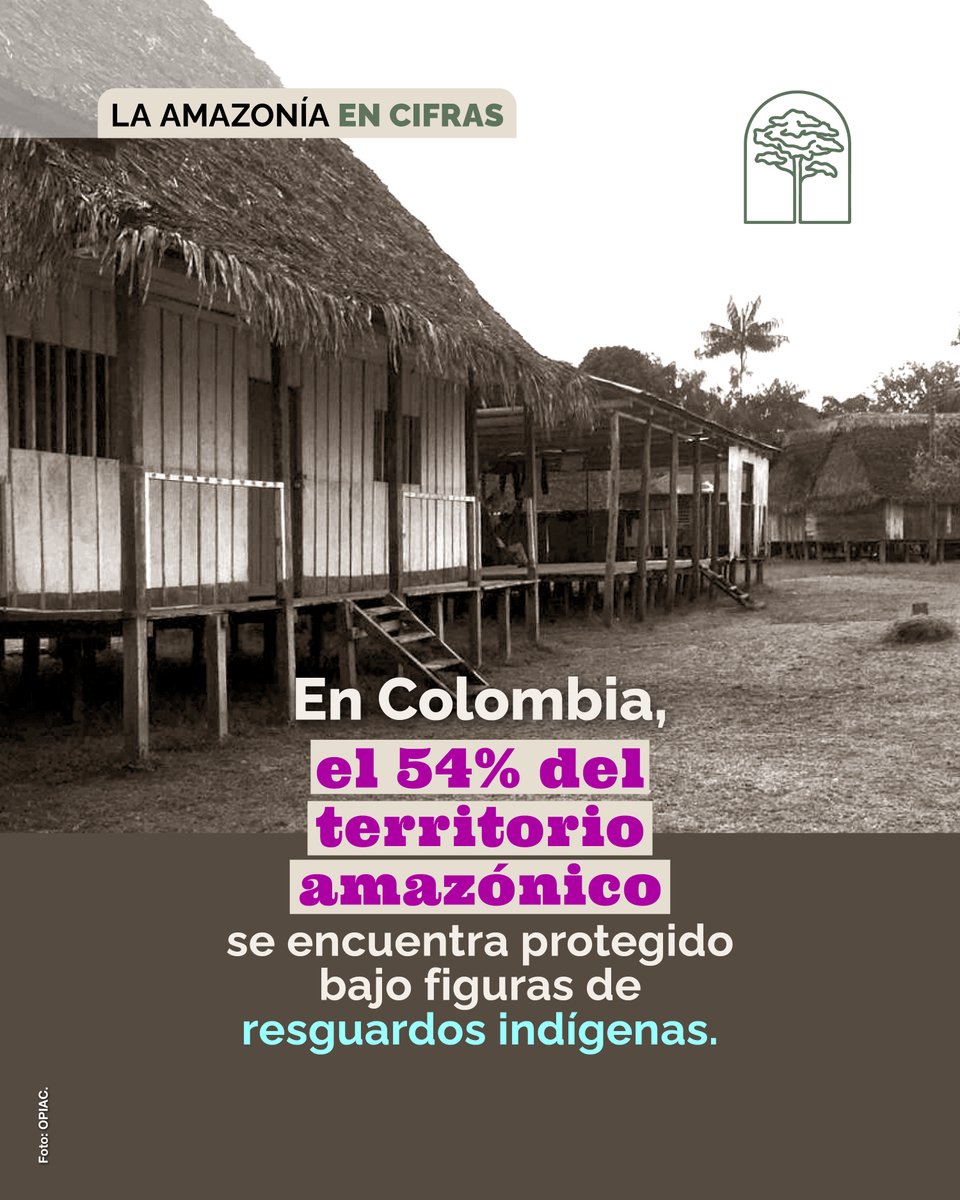 IRIColombia's tweet photo. Además de su rica biodiversidad, la Amazonía se caracteriza por su diversidad de culturas. Detrás de cada cifra de conservación, hay una comunidad indígena, una lengua ancestral, un sistema de conocimientos y una forma de entender el mundo que prioriza la vida sobre el consumo. #IriColombia