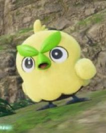 Skraw! VGC tweet media