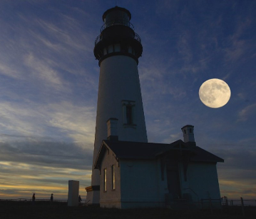 Litro Magazine tweet media