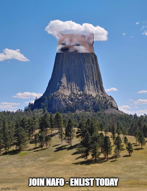 🇩🇪 Hottaspotta 💙💛- NAFO 🌈 tweet media