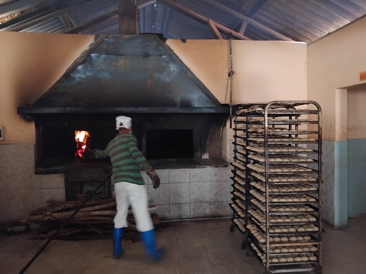 En Calixto García la producción renace 🔥
Con unidad y esfuerzo, nuestros trabajadores construyen y recuperan hornos de leña paralizados.  
Ellos son los protagonistas que garantizan el pan de cada día.  #JuntosSomosMásFuertes @