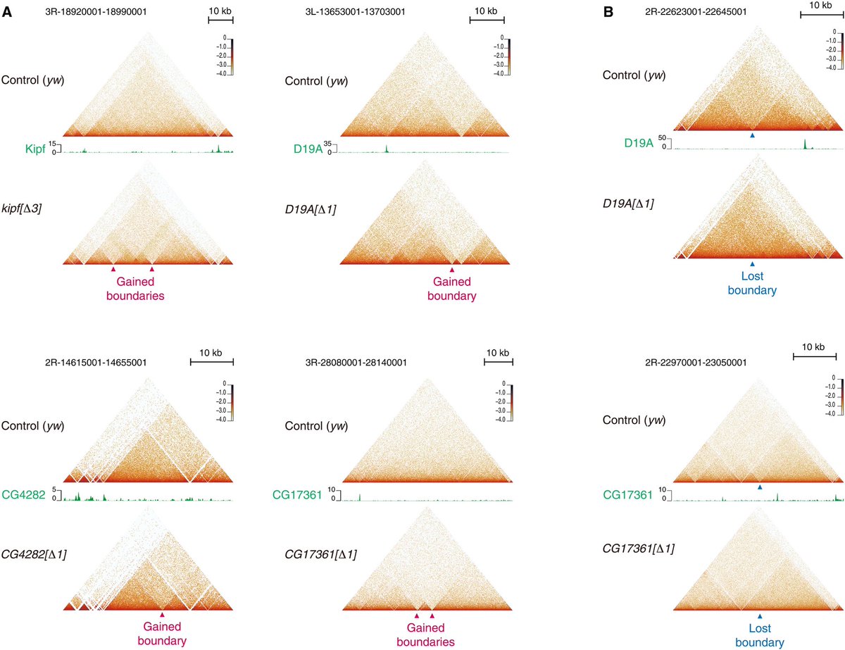 Takashi Fukaya tweet media
