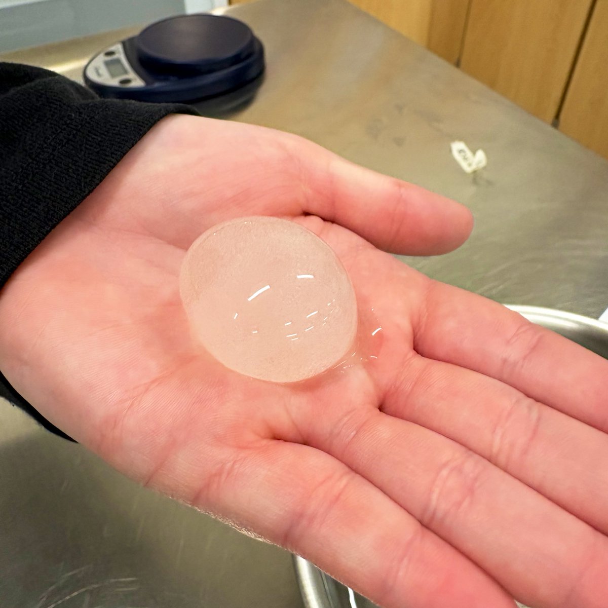 Willow Spring High Foods tweet media