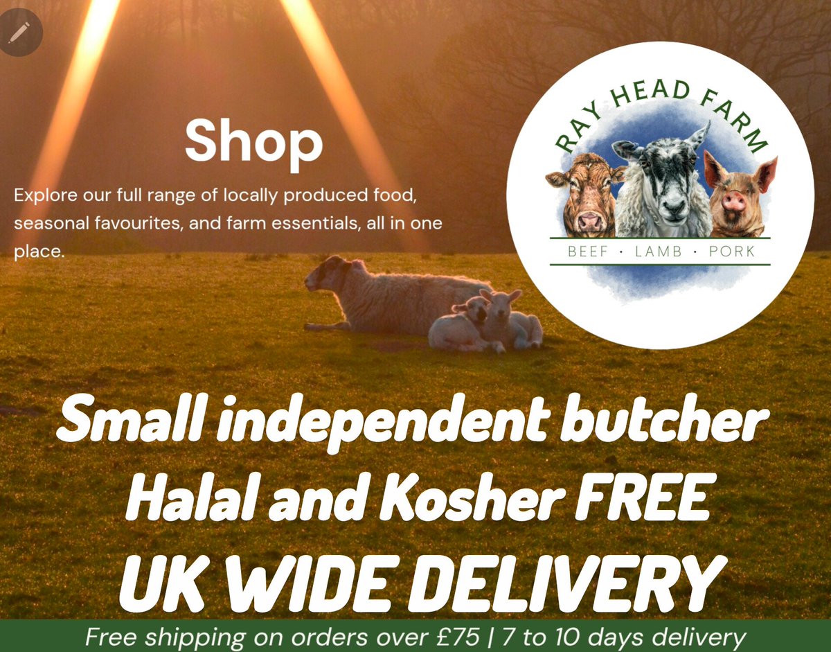 If you follow I will reciprocate ✝️ ✡️ tweet media