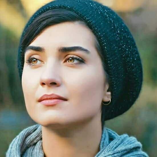 شــرود tweet media