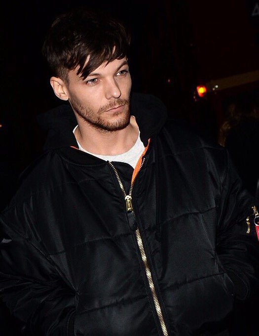 beard louis bot 🎞️ tweet media