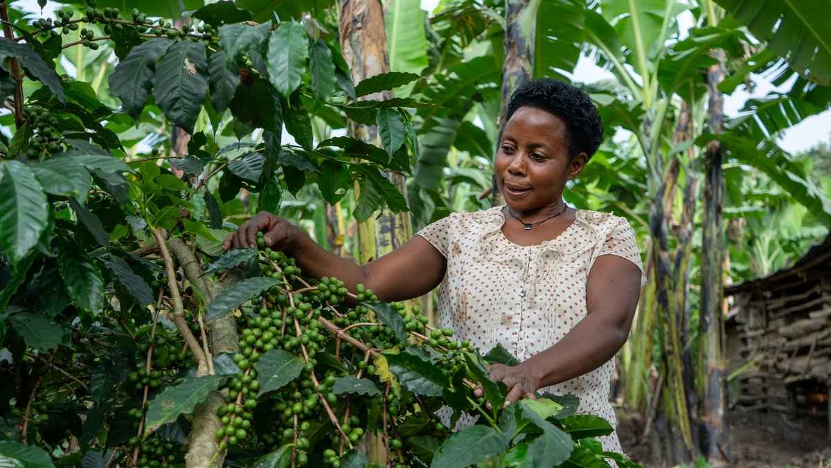 Raising The Village tweet media