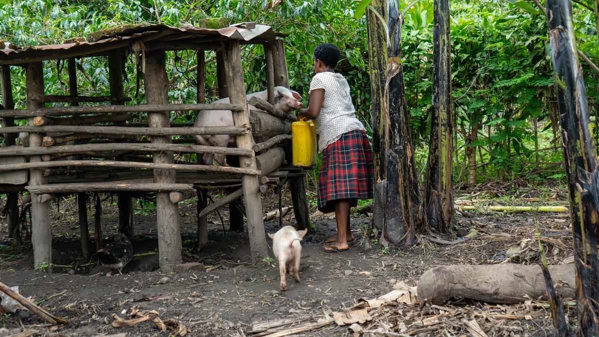 Raising The Village tweet media