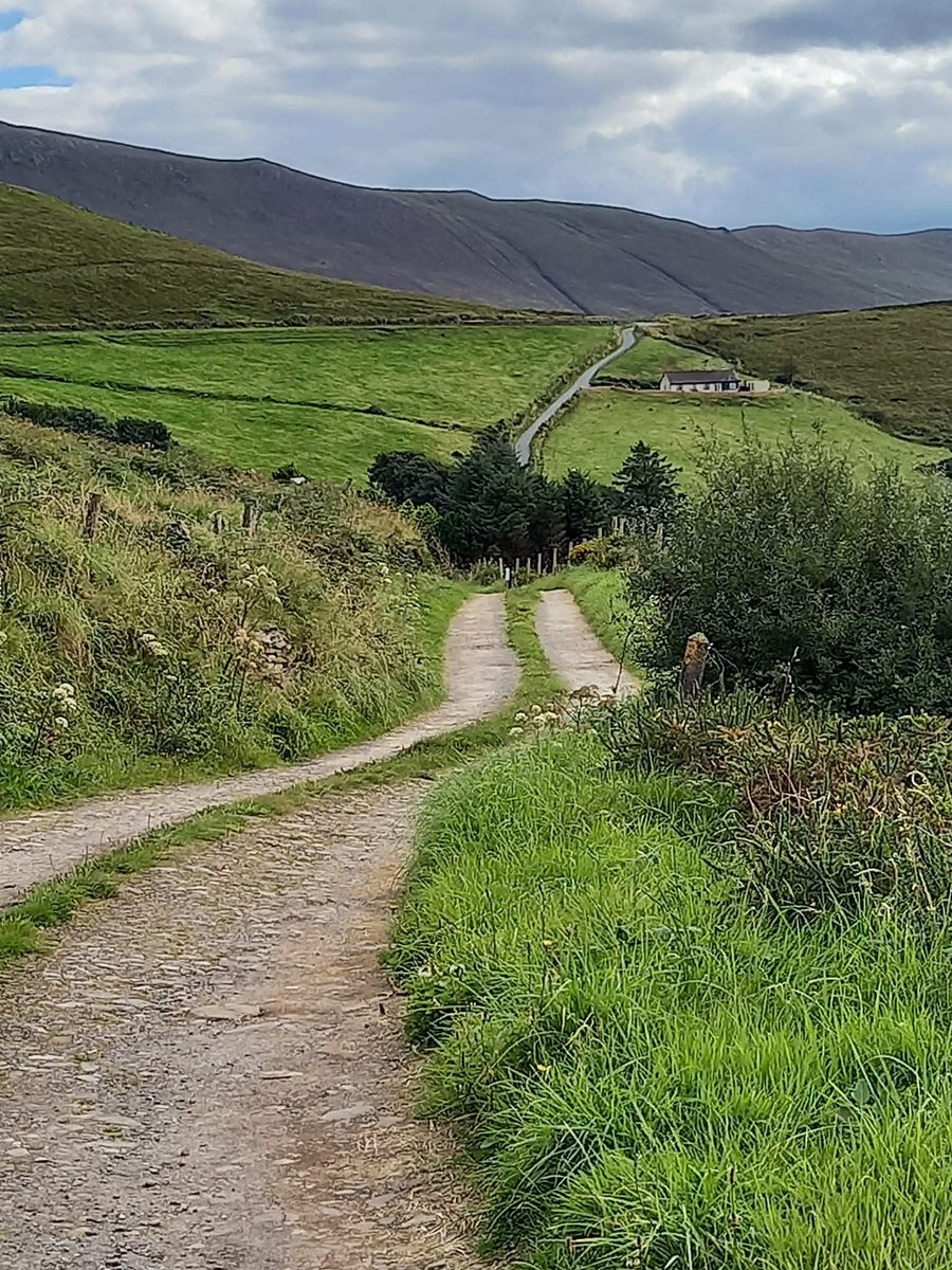 ThisIsIreland3's tweet image. 📍West Cork 🏞️🇮🇪

Country roads, take me home to the place I belong. It's no wonder why so many people fall in love with Ireland. There's something very special about the Irish countryside. Amazing views around every corner 💚🤍🧡

📸 Julia Duggan

#Cork #Countryside #Ireland