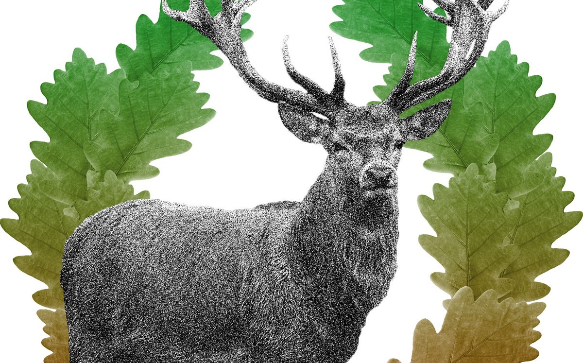 Umweltschutz ist Heimatschutz?

Wie viel völkische Ideologie steckt in der Geschichte des Naturschutzes? Die unbequemen Antworten sind nötige Aufklärung. 
Ein Beitrag von <a href="/kopptisch/">tobias prüwer – @kopptisch.b...y.social</a>.

nd-aktuell.de/artikel/119792…