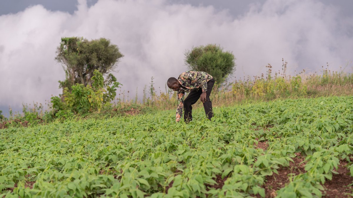 Raising The Village tweet media