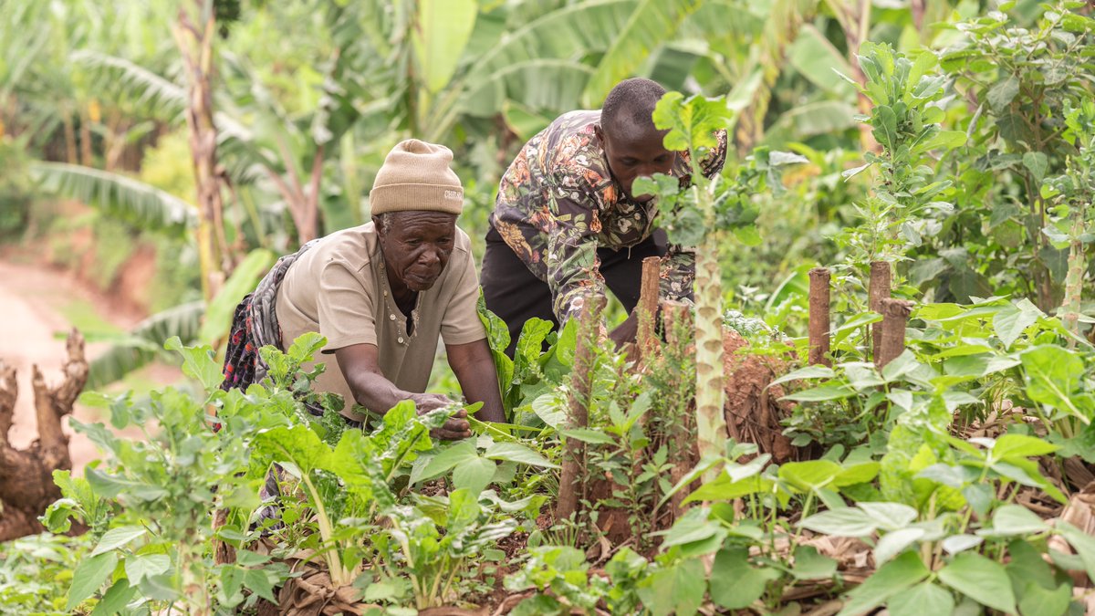 Raising The Village tweet media