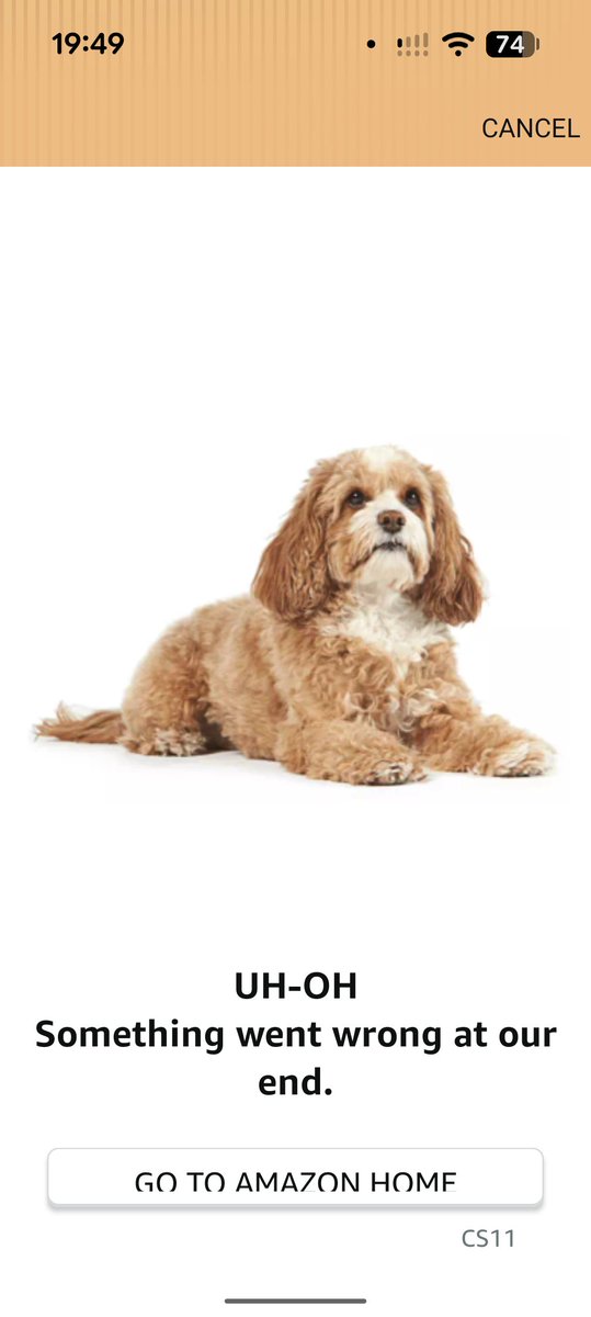 🇬🇧 David Lyddon tweet media