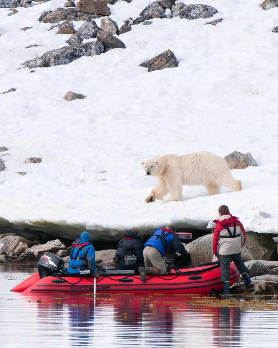MacGillivray Freeman tweet media