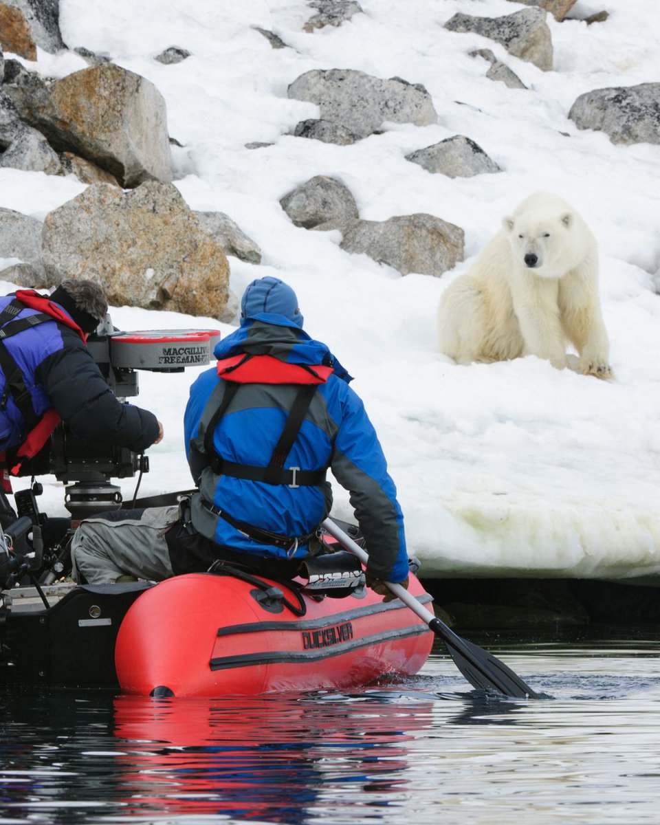 MacGillivray Freeman tweet media