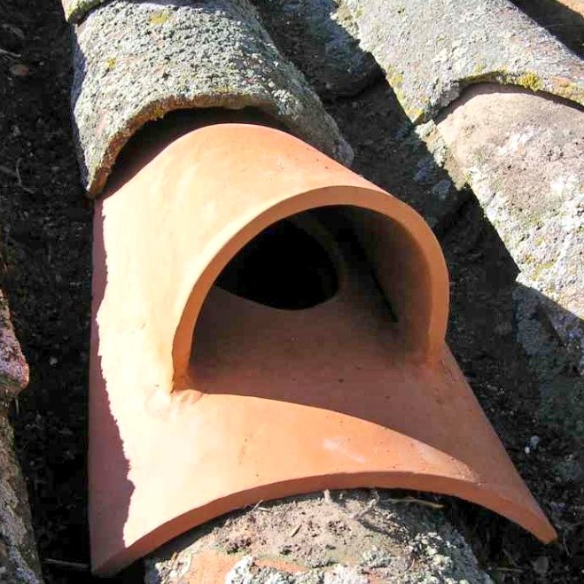 Nuestro Mar Menor tweet media