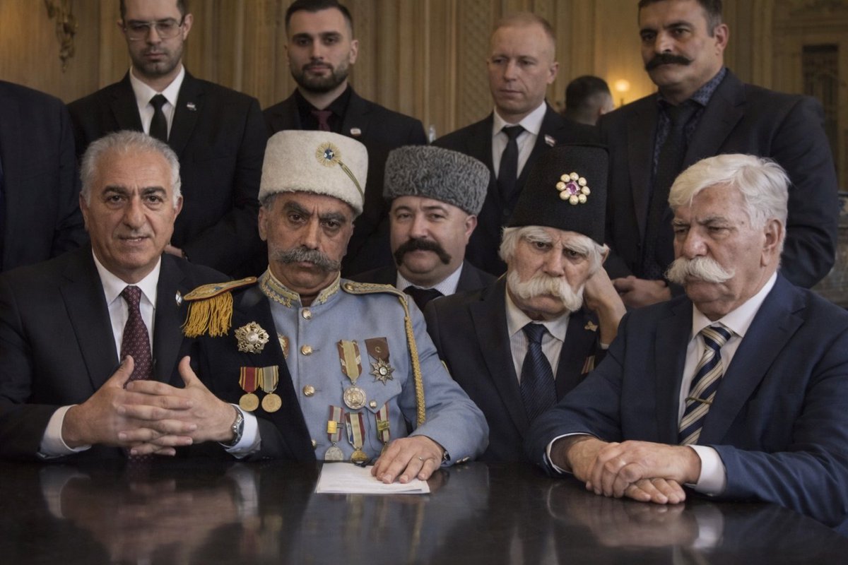 Sasan Amjadi tweet media