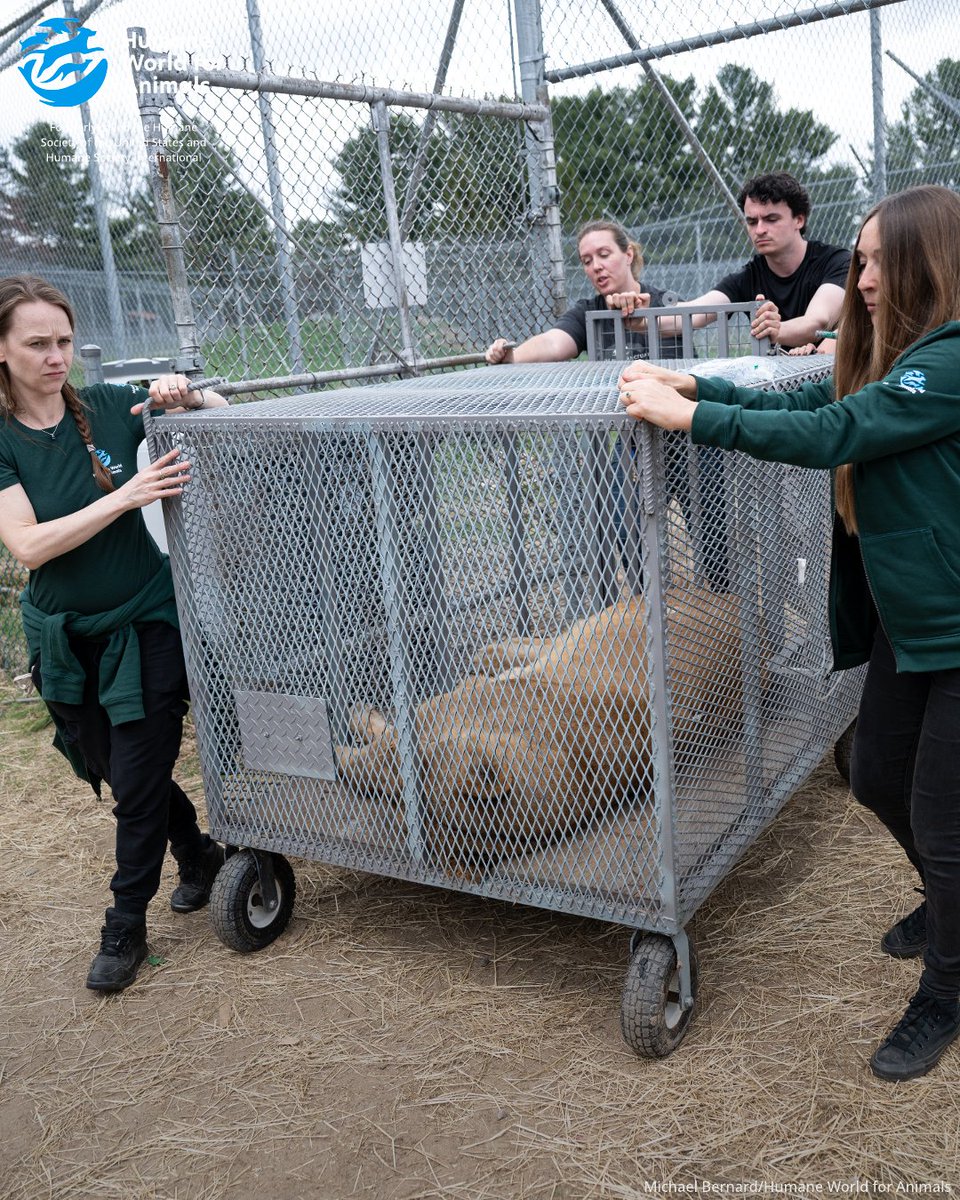 Humane World for Animals Canada tweet media