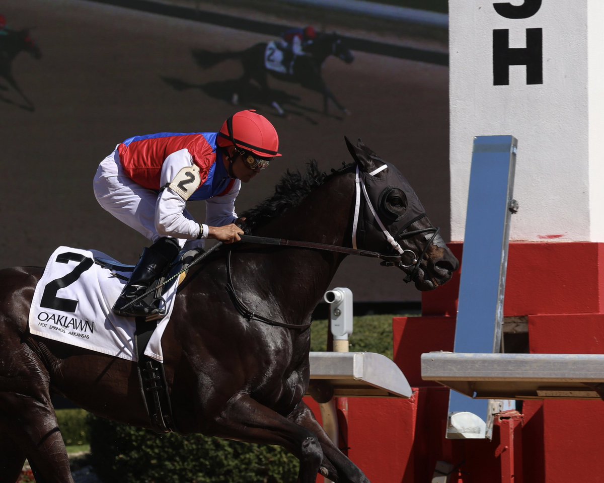 MoquettRacing97's tweet photo. GRAND ORACLE and Luis Saez took initiative from the bell and kept his mind on business to win the third race of a gorgeous Oaklawn Friday card. Congrats to Louis Cella and all involved with another winner!

📸 @owneycreative https://t.co/CvDWte8fO9