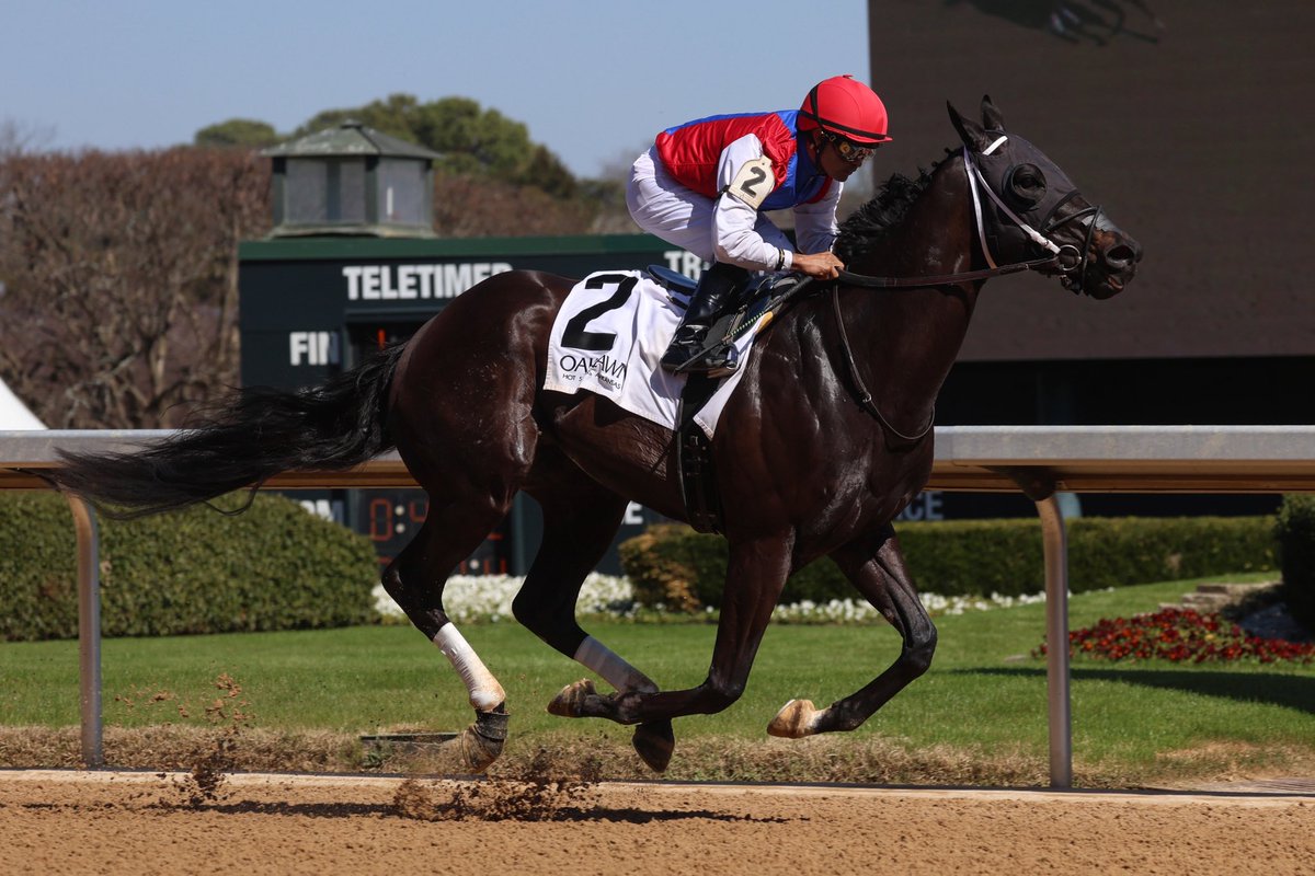 MoquettRacing97's tweet photo. GRAND ORACLE and Luis Saez took initiative from the bell and kept his mind on business to win the third race of a gorgeous Oaklawn Friday card. Congrats to Louis Cella and all involved with another winner!

📸 @owneycreative https://t.co/CvDWte8fO9