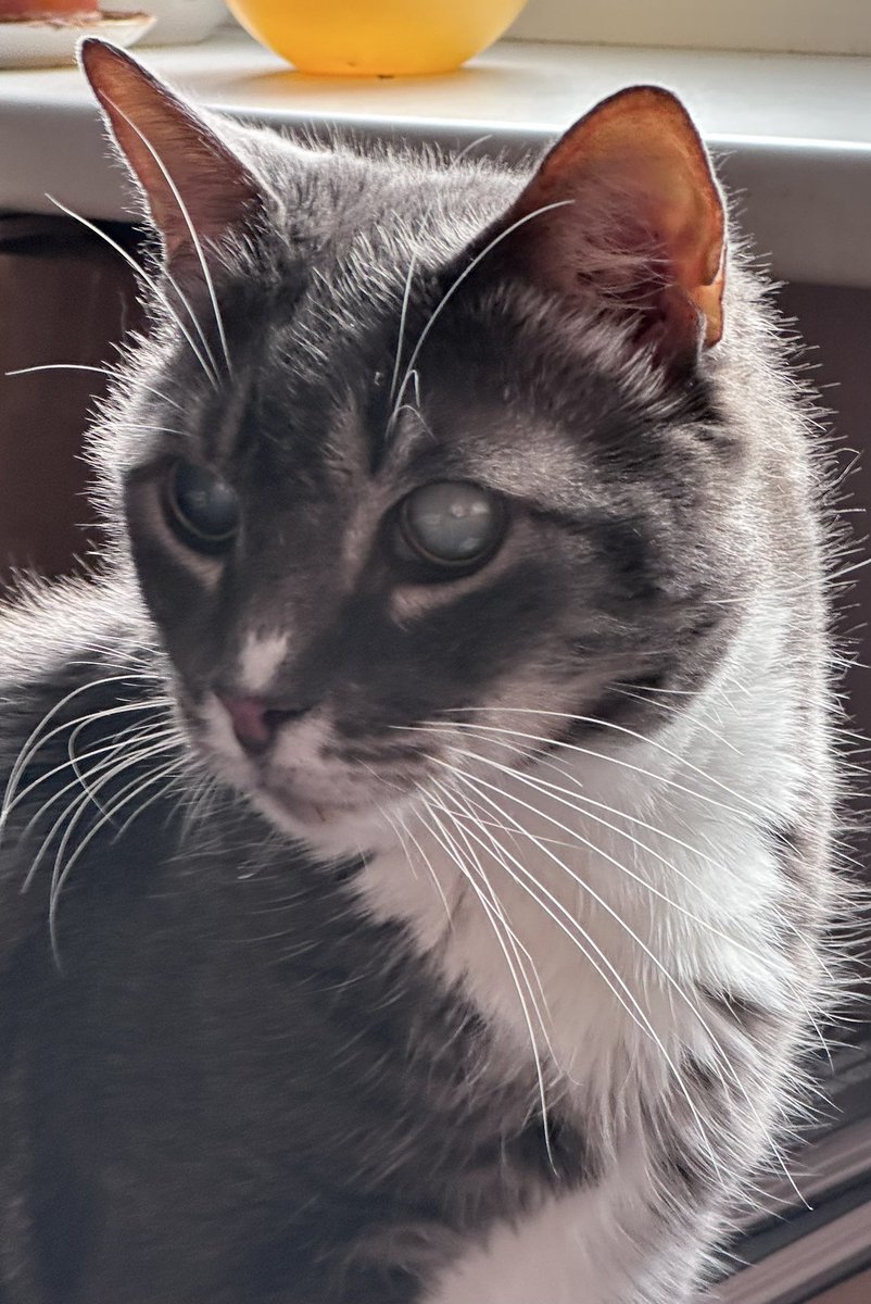 Daiga Rutka tweet media