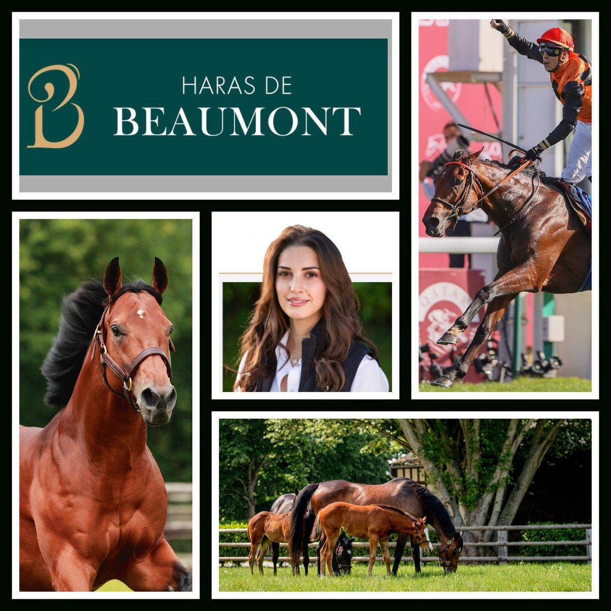 Weatherbys Limited tweet media