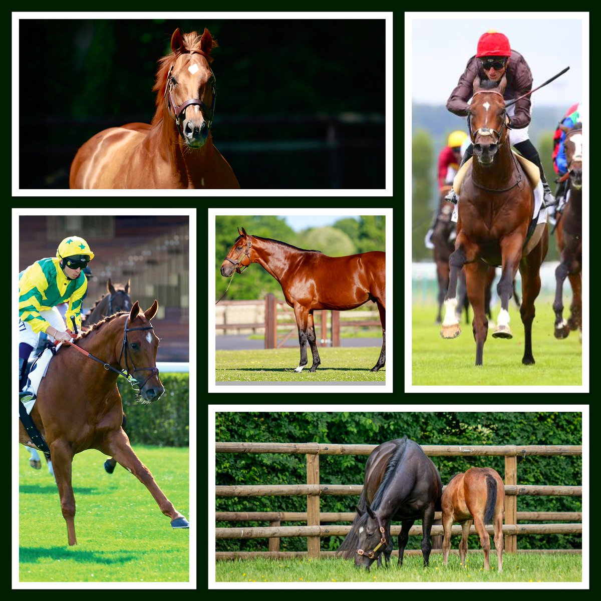 Weatherbys Limited tweet media