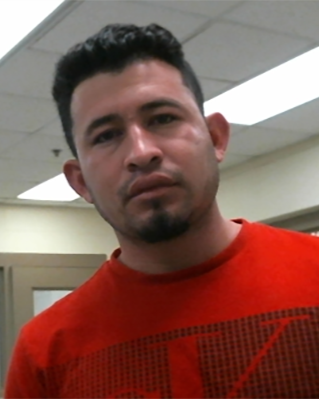 U.S. Immigration and Customs Enforcement tweet media