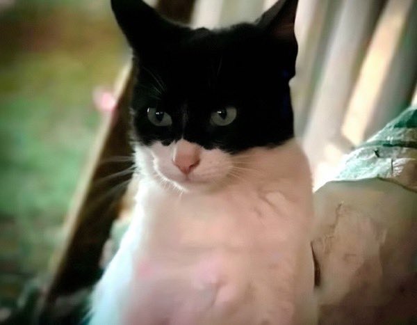 My name is ….,🥰