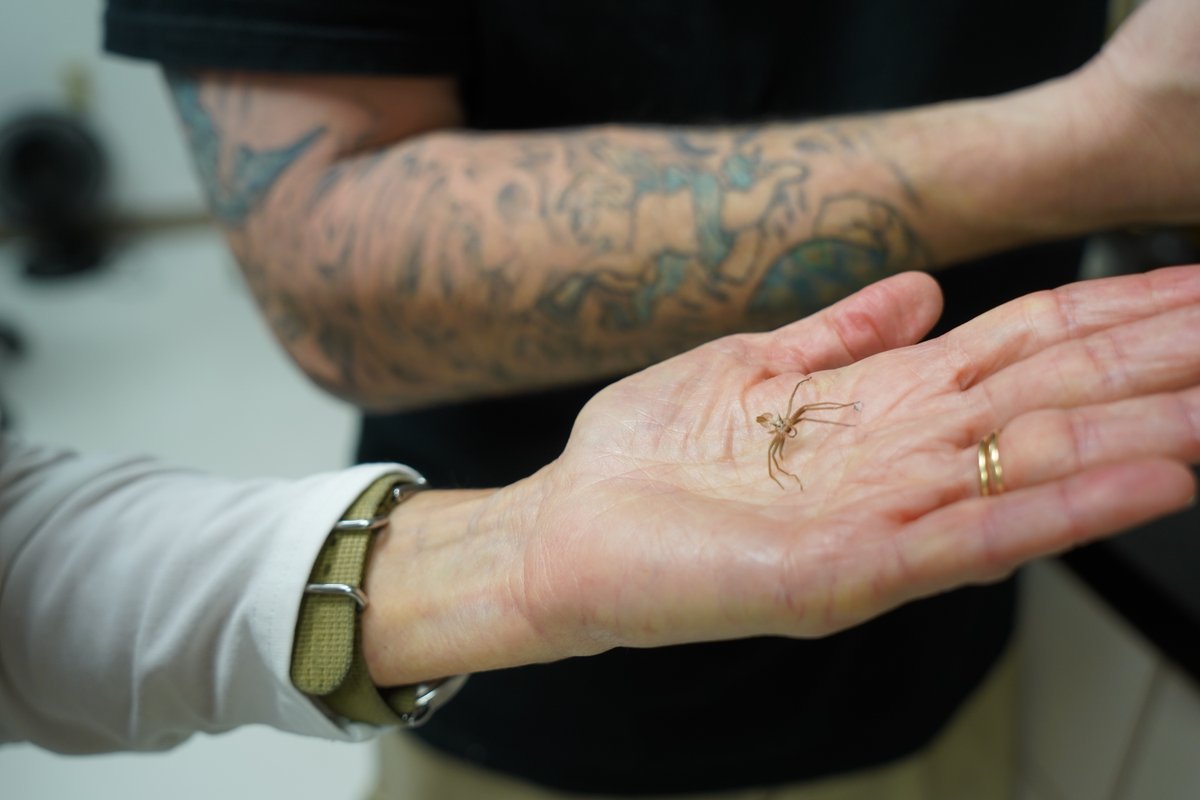 University of South Florida tweet media