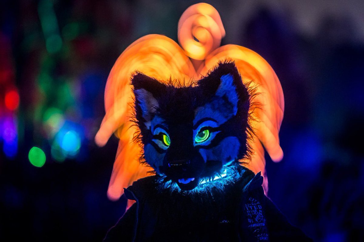 TaniDaReal tweet media