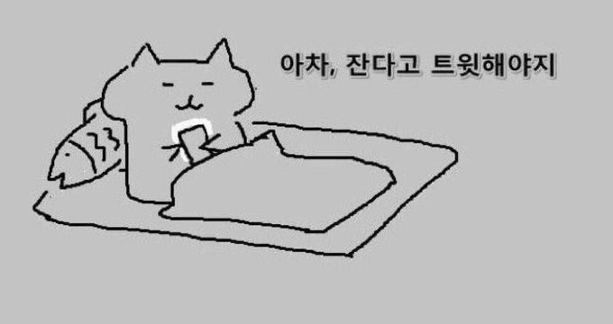 니타 (@yuuaslk) on Twitter photo 