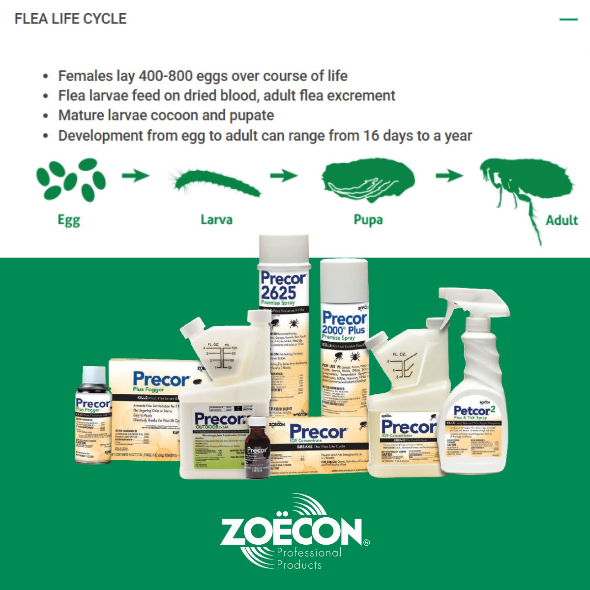 ZoeconCentralLS tweet media