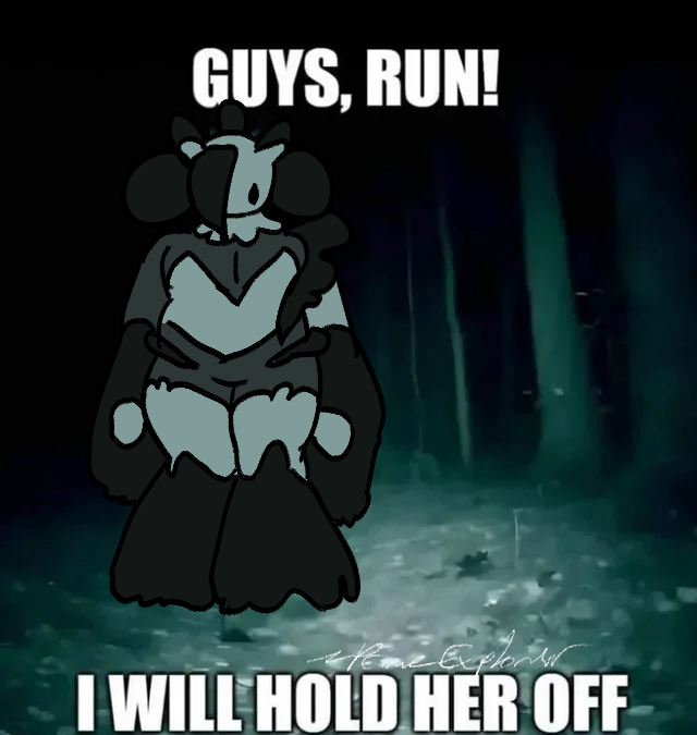 PRimeExplorer!✨ tweet media