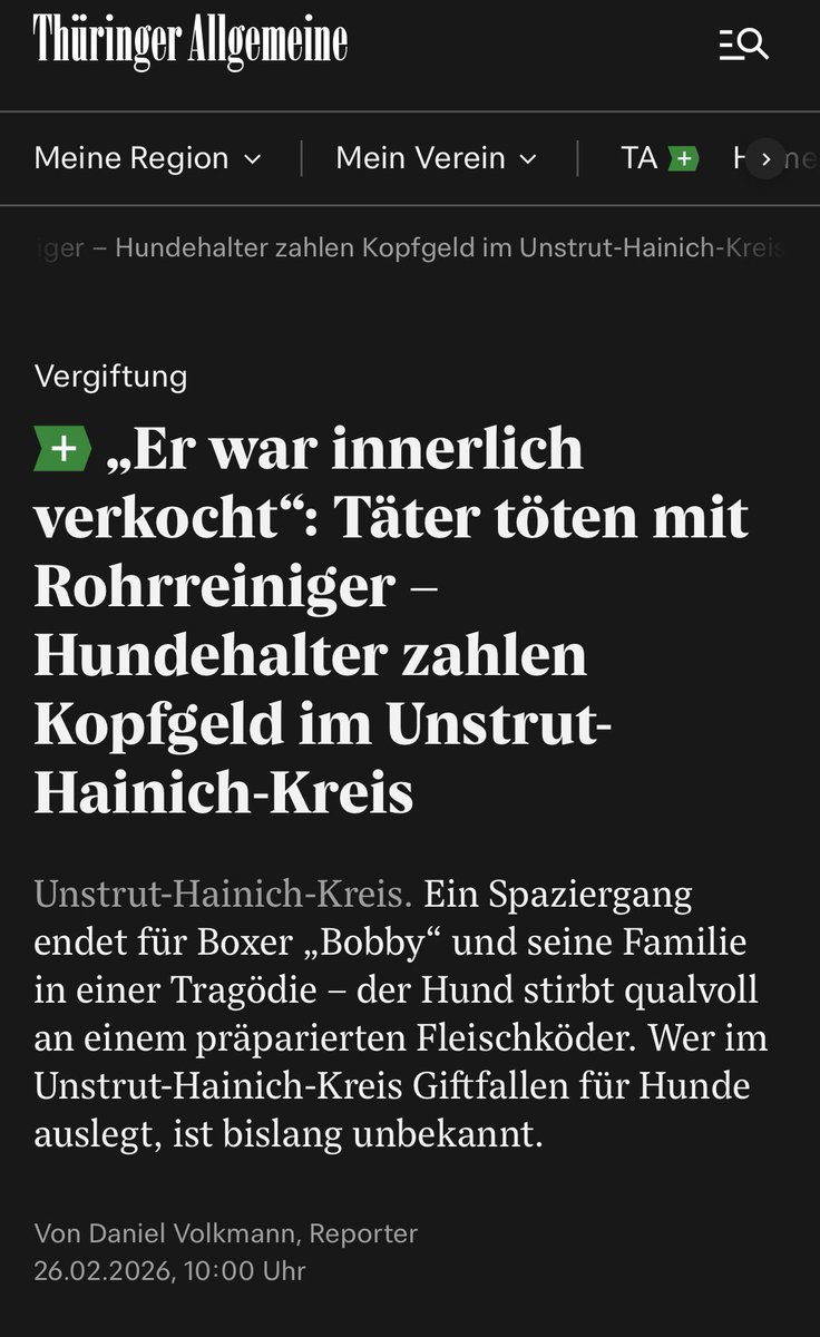 Achtet auf eure Hunde