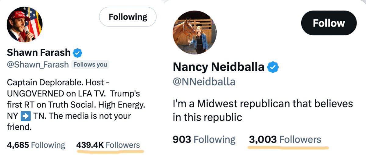 Joe Padula tweet media