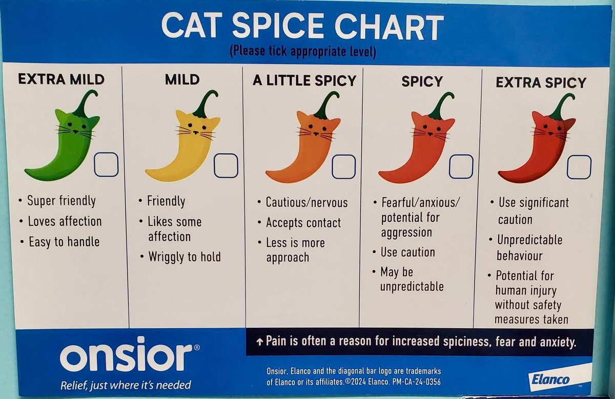 Gwenders 🏴🧙 tweet media