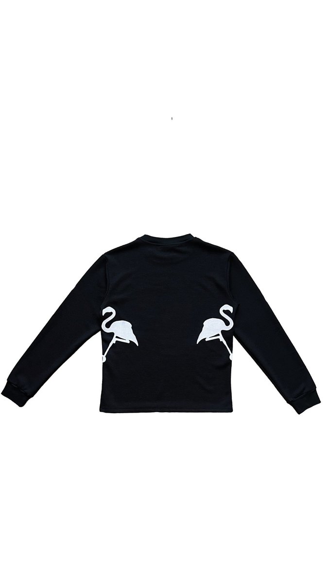 domingo 008. tweet media