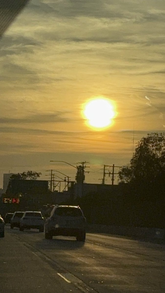 DenoTatted tweet media