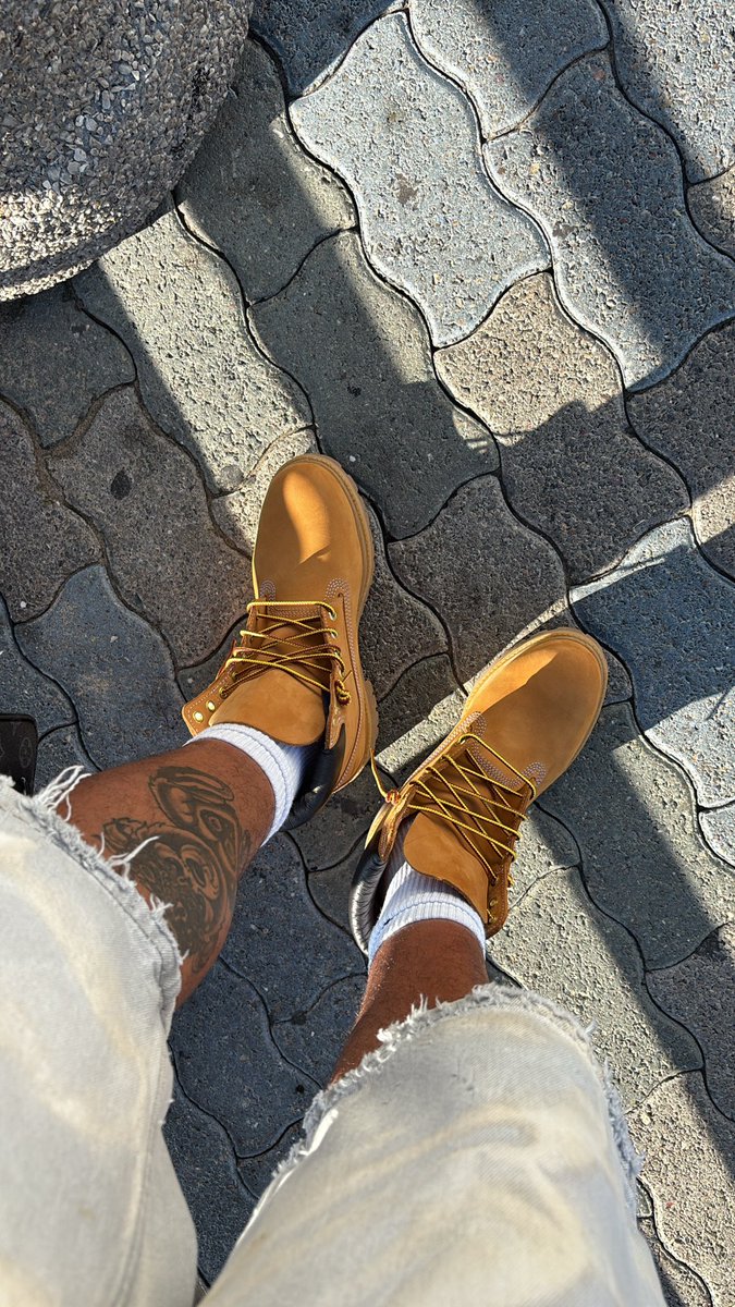 DenoTatted tweet media