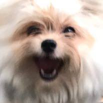 polly ~ ♥ tweet media