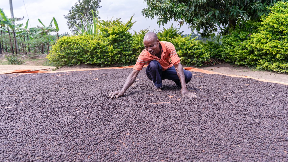 Raising The Village tweet media